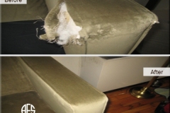 Animal-dog-damage-upholstery-furniture